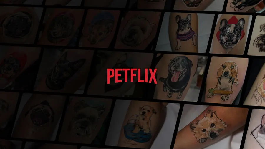 Sistema Petflix Academy